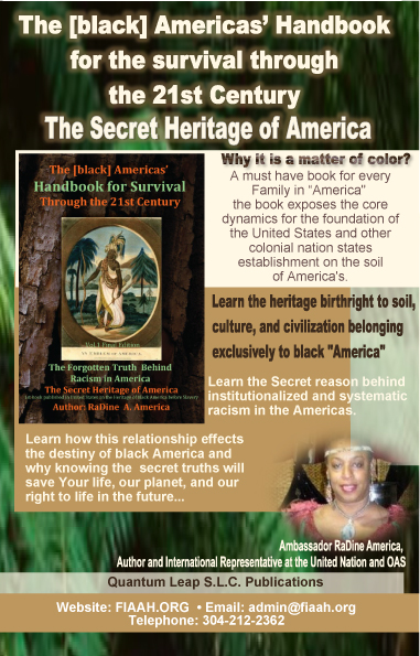 New Release!!!! The [black] Americas' Handbook for Survival through the 21st Century, Vol. 1  Complete and Final