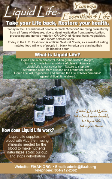 Liquid Life